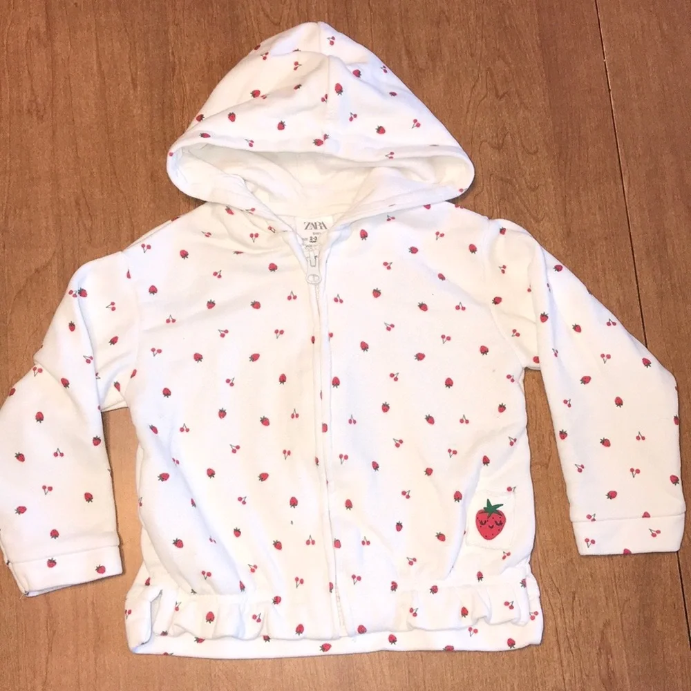 Toddler Girl Size 2T-3T Bundle Fall & Winter Zara, Carters, Cat & Jack, Osh Kosh - Picture 2 of 13